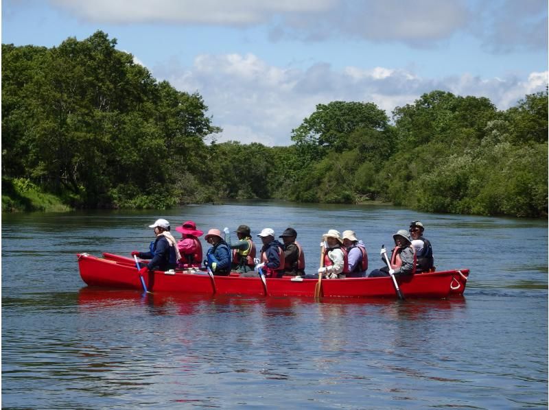 [Hokkaido / Kushiro] Group ｜ Canoe Touring ｜ Kushiro Marsh ｜ Enjoy the charm of nature ♪ ｜ Participation by 10 to 15 peopleの紹介画像