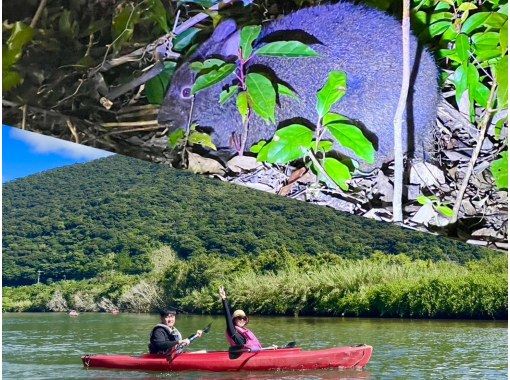 奄美大島【当日予約可能】マングローブカヌー＆ナイトツアー(180分)★ガイド付★【口コミ投稿で撮影データ無料】☆お1人様もお任せ下さい☆の画像