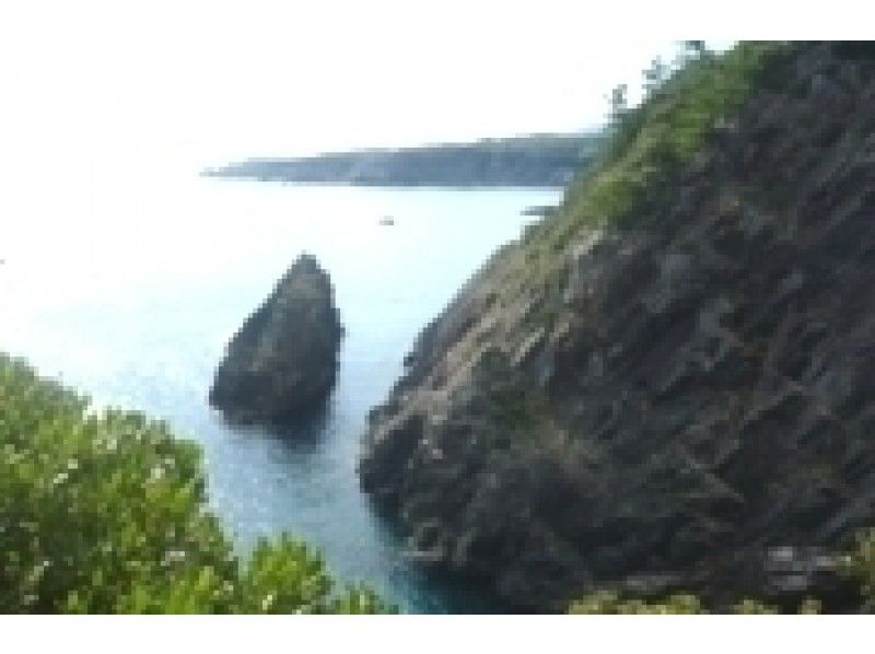【鹿児島・屋久島】屋久島周遊「フリースタイルトレッキング」地元目線の屋久島の隠れた魅力を案内!