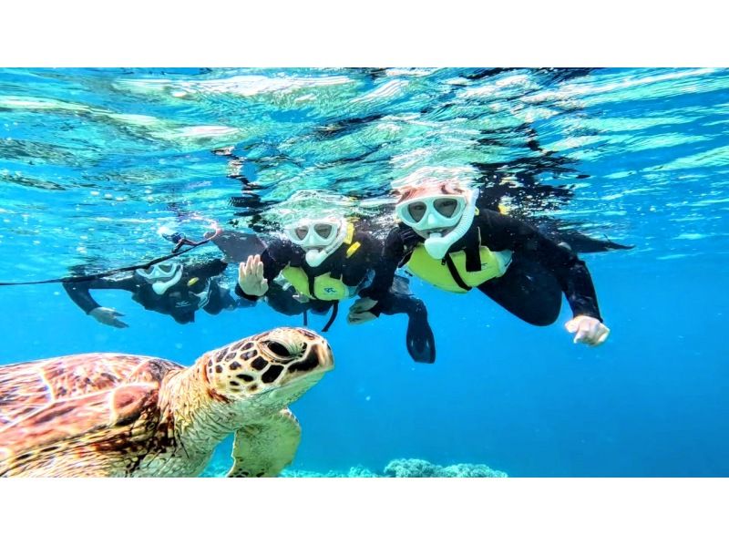 ★ウミガメ保証あり★【石垣島/2時間】安心の少人数制☆当日予約OK！青の洞窟シュノーケルツアーお子様からご年配の方まで安心!／撮影・送迎無料の紹介画像