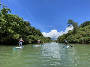 【4人以上团体优惠！ ] 红树林SUP之旅《6岁以上◎&middot;免费拍摄数据&middot;免费租用智能手机壳&middot;提供热水淋浴》