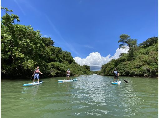 【4분 이상의 참가로 유익하게! 】 맹그로브 SUP 투어 << 6 세 ~ 참가 ◎ &middot; 촬영 데이터 무료 &middot; 스마트 폰 케이스 무료 대출 &middot; 온수 샤워 있음 >>の画像