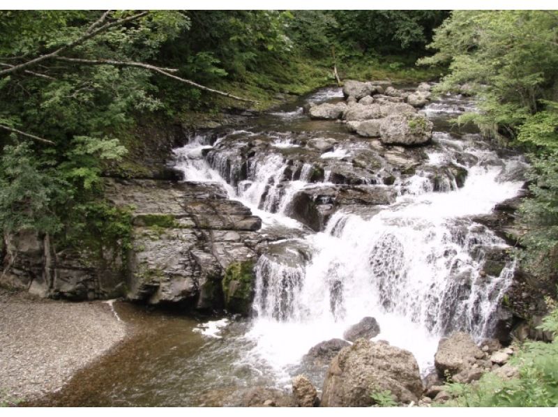 [北海道/釧路]獨木舟旅遊和溪流垂釣套餐｜釧路沼澤｜享受大自然的魅力♪｜最多1-5人の紹介画像
