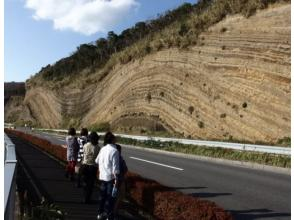 オレンジフィッシュ