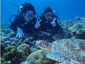 【沖縄】慶良間海域(チービシ含む) 半日便でも満足度120%!体験ダイビングの画像