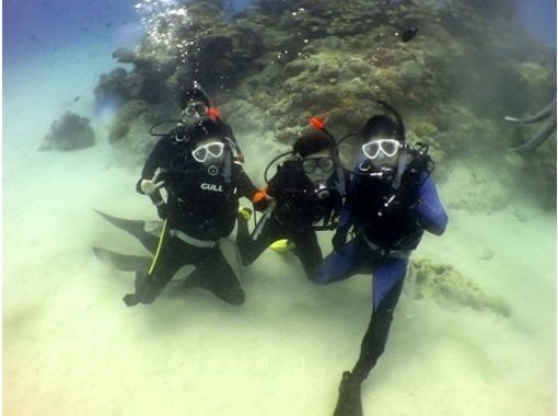[Kagoshima ・ Amami】 For beginners! Experience Diving(half-day course)の画像