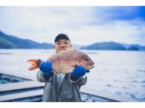 日本第一的鯛魚養殖小鎮！宇和島。了解品牌鯛魚“Taiichiro Kun”的水產養殖體驗！