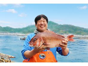 【에히메 · 우와지마】 마미 도이 양식 일본 제일! 귤 도미의 양식 체험 & 도미즈쿠시의 식사の画像