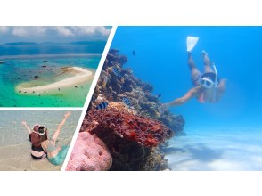 【石垣島 - Google 評價 ★5.0】在壯觀的「幻影島」登陸浮潛！探索海龜和珊瑚！