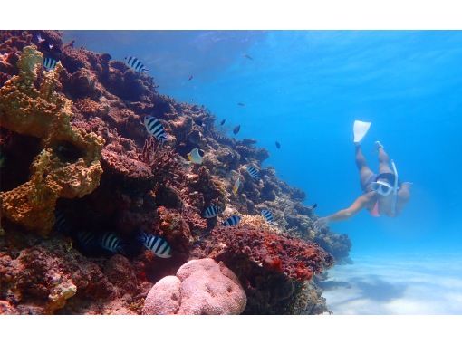 【沖縄・石垣島】幻の島上陸＆シュノーケルツアーの画像