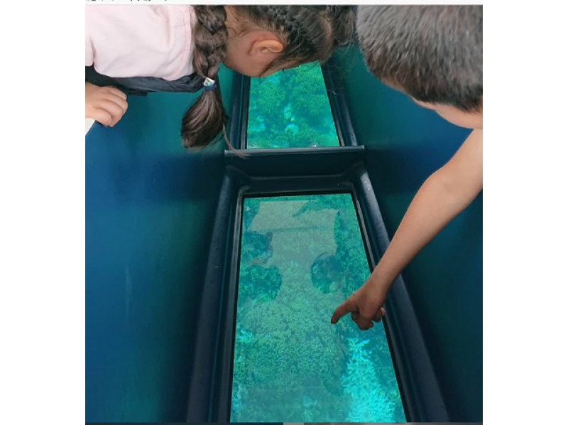 [Okinawa / Nago] Experience the sea! Oura Bay Glass Boat! Let's go see the world's largest blue coral! From children to adultsの紹介画像