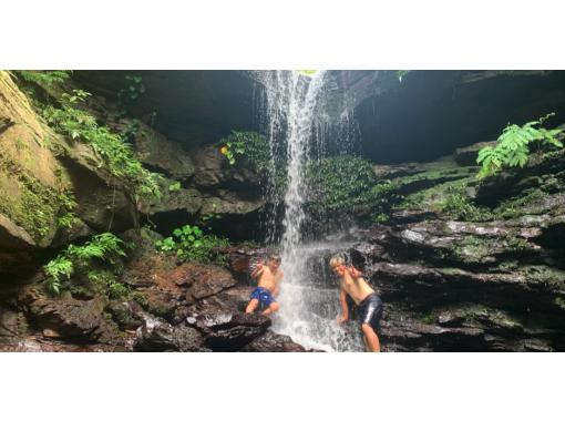 [Iriomote Island] Half-day cooler waterfall trekking tour | Recommended for beginners! (Afternoon)の画像