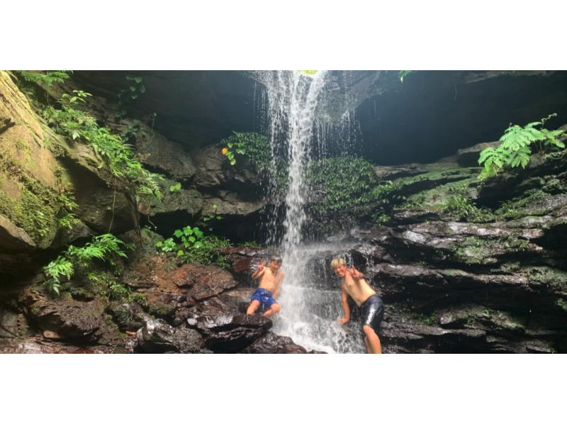 [Iriomote Island] Half-day cooler waterfall trekking tour | Recommended for beginners! (Afternoon)の紹介画像