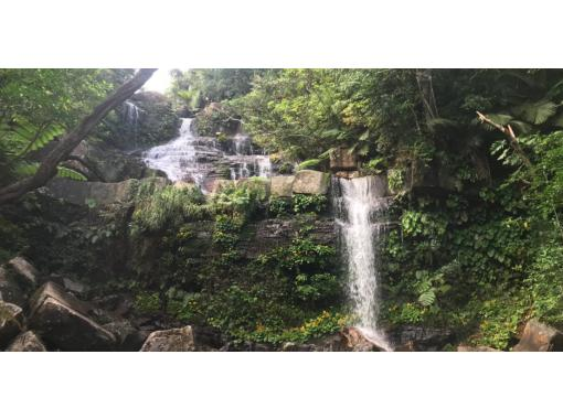 [Iriomote Island] Half-day Geta Waterfall Trekking Tour | Recommended for beginners! (Morning part)の画像