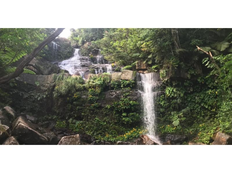 【冲绳/西表岛】吉塔瀑布半日徒步旅行|推荐给初学者！ （下午场）の紹介画像