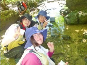 【沖縄・今帰仁】〈学割・学生限定プラン〉カヤックを降りて湧き水で生き物探し マングローブカヤック2時間45分　画像データも