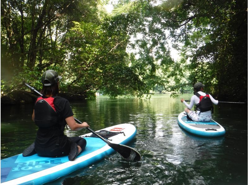 【北海道・SUP体験】透明度の高い支笏湖の湖面をクルージング！SUP体験（半日コース）の画像