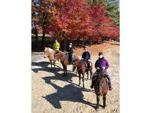 [Yamanashi / Kobuchisawa] Outdoor riding! First horse riding plan lesson 30 minutes + outside ride 60 minutes