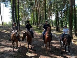 [Yamanashi / Kobuchisawa] Outdoor riding! First horse riding plan lesson 30 minutes + outside ride 60 minutes