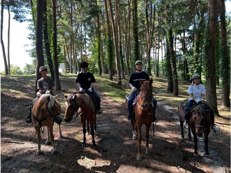 [Yamanashi / Kobuchisawa] Outdoor riding! First horse riding plan lesson 30 minutes + outside ride 60 minutesの紹介画像