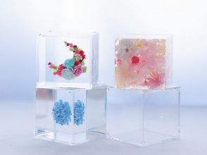 Atelier MoonDrop (아틀리에 문 드롭)