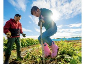 [Around Atsugi / Annual owner plan for vegetable making! ] Experience from planting seedlings to harvesting yourself throughout the year ♪ Making a lot of vegetables of about 20 kinds a year ♪ <With friends and family>の画像