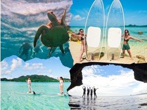 【石垣島/1日】青の洞窟探検！遭遇率95%ウミガメシュノーケル&クリアSUPクルージング☆オプション多数でアレンジ可！《写真、送迎無料★》