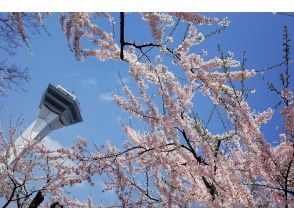 Hokkaido Sakura Tour: 2 Hours by Sightseeing Taxi