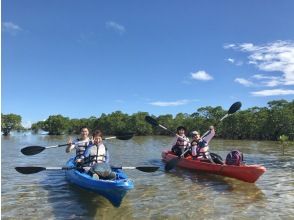 《学生旅行・卒業旅行応援》2000円割引キャンペーン　西表島　ピナイサーラの滝１日ツアー　滝上＆滝壺　カヌー＆トレッキング