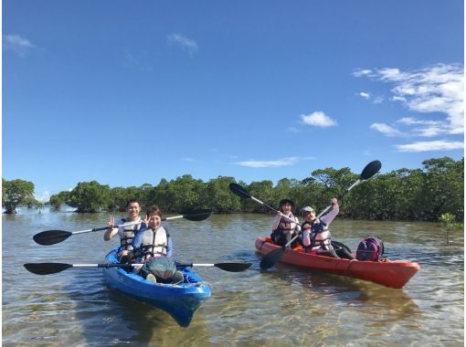 《学生旅行・卒業旅行応援》2000円割引キャンペーン　西表島　ピナイサーラの滝１日ツアー　滝上＆滝壺　カヌー＆トレッキングの画像