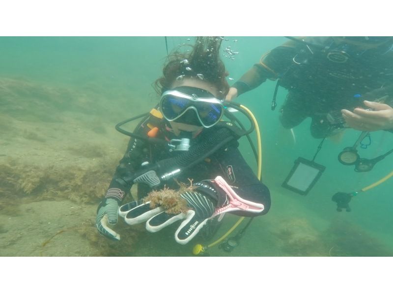 【北海道・SUP体験】透明度の高い支笏湖の湖面をクルージング！SUP体験（半日コース）の画像