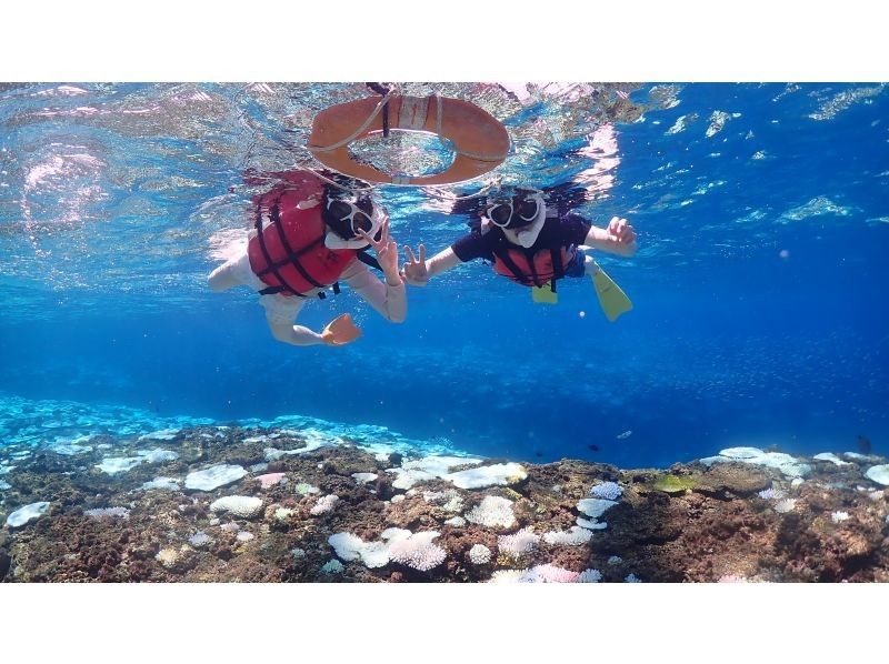 [Okinawa / Miyakojima] Classic blue cave & popular sea turtle snorkel tour! !! Sea turtle encounter rate 98%! Beginners are welcome!の紹介画像