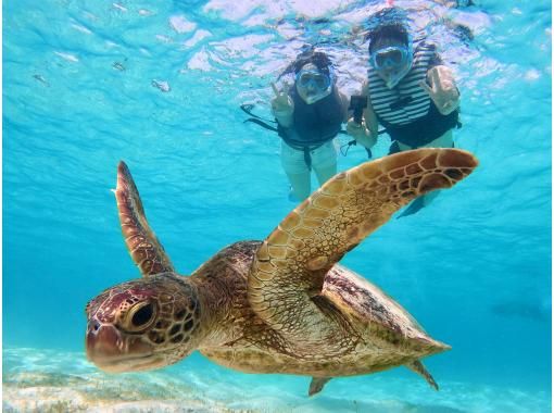 2024年超級夏季特賣會☆海龜遭遇率99.9%☆海灘浮潛☆免費水下攝影♪遊覽結束後將在現場提供數據♪の画像