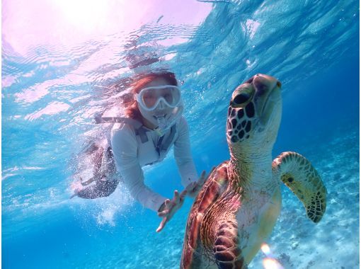 ☆ウミガメ遭遇率99.9％☆ビーチシュノーケリング♪無料撮影♬の画像