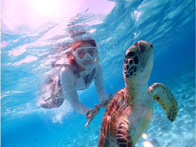 Super Summer Sale 2024 ☆ 99.9% chance of encountering sea turtles ☆ Beach snorkeling ☆ Free underwater photography ♪ Data will be given to you immediately after the tour ♪の紹介画像