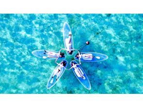 [Spring Sale] [99.9% chance of encountering sea turtles] Clear SUP or Clear Kayak - 1 hour plan - Our most popular tour for social media♪の画像