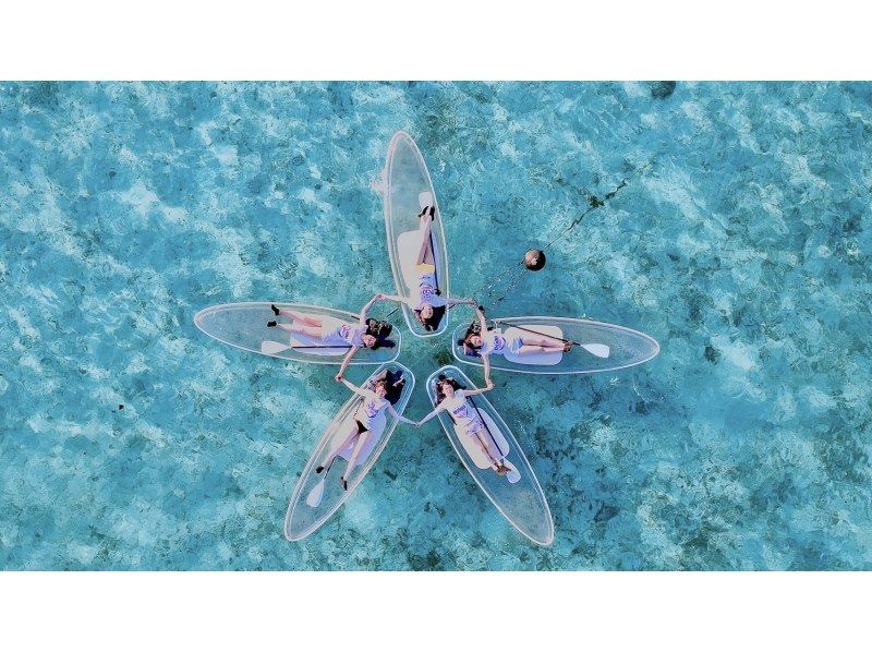 [Drone shooting free service! ] ☆ Clear Sap or Clear Kayak - 1 hour plan to choose - ☆ Sea turtle encounter rate 99% ♪の紹介画像