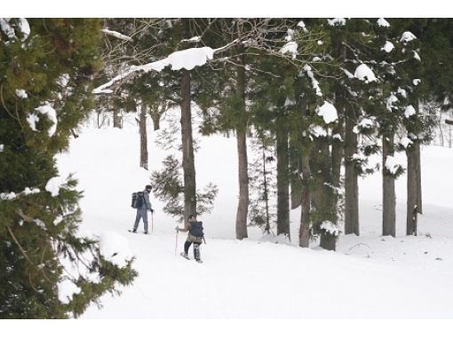 【도야마・난토시 토가무라】눈 깊은 산속에서 스노슈 체험! 한겨울은 3m를 넘는 적설이 압권! 자연을 만끽할 수 있는 스노슈 투어の画像