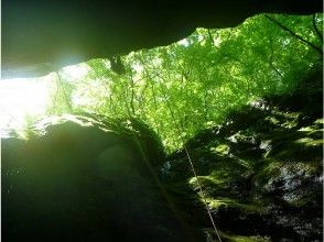 【東京・奥多摩】キャニオニング体験(もののけコース)の画像