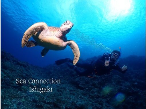 [Okinawa Ishigaki Island] Arrival diving OK !! Selectable morning, afternoon, half-day 2 dive boat diving !! Beginners and photo divers are welcome!の画像