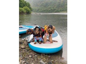 [Mie / Watarai] Miyagawa / River SUP Experience | Why don't you enjoy a "water walk" in nature?