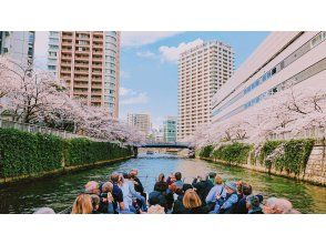 【Sales start! Shared] Meguro River Cherry Blossom Viewing Cruise 2024 70 minutesの画像