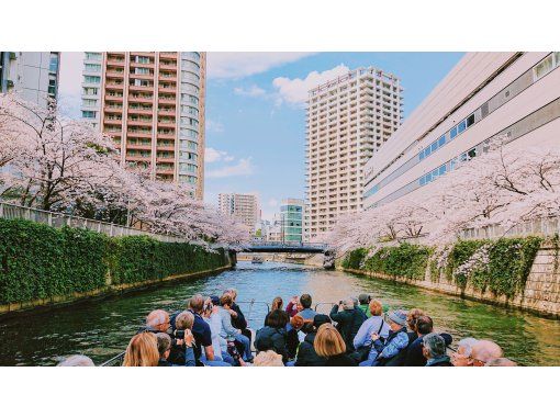【Sales start! Shared] Meguro River Cherry Blossom Viewing Cruise 2024 70 minutesの画像