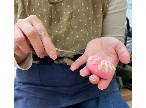 【和歌山・和歌山城】職人直伝の生菓子づくり体験♪ファミリーからカップルまでおすすめの画像