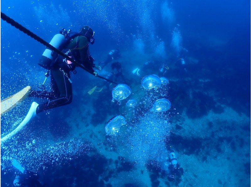 【北海道・SUP体験】透明度の高い支笏湖の湖面をクルージング！SUP体験（半日コース）の画像