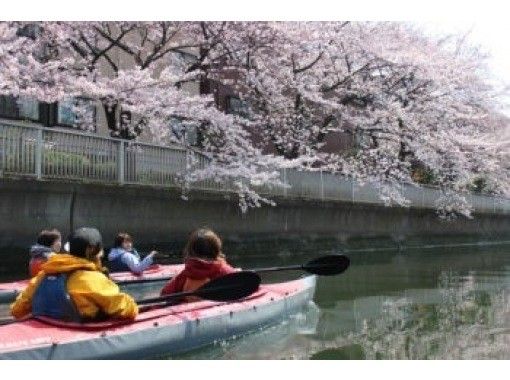 [Tokyo / Edogawa] Cherry-blossom viewing season only ♪ Those who can row tightly! For those who want to row! Tokyo Canal Long Canoe Tour <For Experienced People>の画像