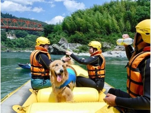 [Shikoku Yoshino River] Your beloved dog is also a member of the family! Rafting experience together Kochi Family Course Free photo gift!の画像