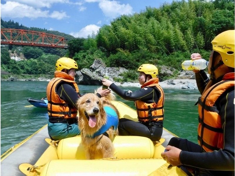 [Shikoku Yoshino River] Your beloved dog is also a member of the family! Rafting experience together Kochi Family Course Free photo gift!の紹介画像