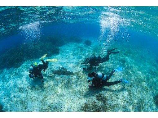 【沖縄・宮古島】【1組貸切】Insta360 Ace Pro2写真＆動画プレゼント!!絶景ビーチで体験ダイビング！３時間コース（２ダイブ）の画像