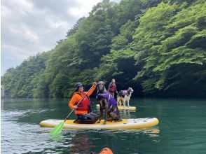 【栃木・那須】板室ダム湖SUP体験ツアー（SUP：那須エリア）